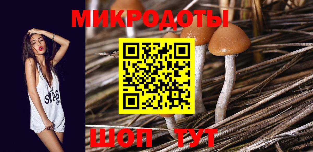 Назарово  Галлюциногенные грибы Magic Shrooms  Вход с VPN  Галлюциногенные грибы Psilocybine cubensis 