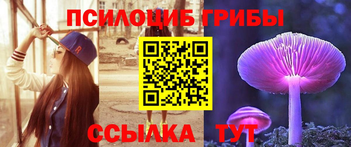 Псилоцибиновые грибы прущие грибы Назарово